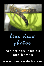 lisa drew photos for offices lobbies and homes